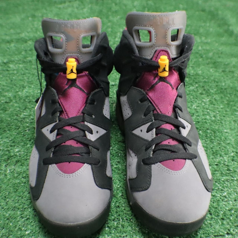 Air Jordan 6 Retro